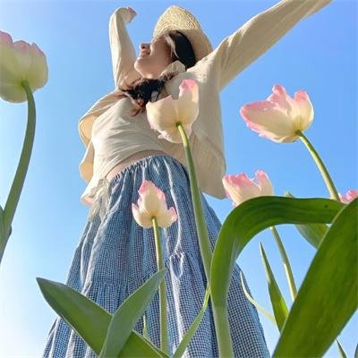 东京飞龙儿